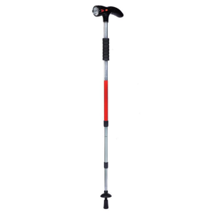 multi function electronic cane