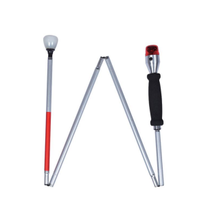 audio visual electronic blind cane